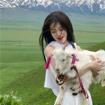 一尸到底:法尸浪漫